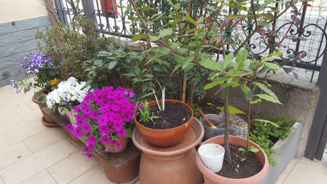 Monteceneri 9 B&B 罗镇 外观 照片