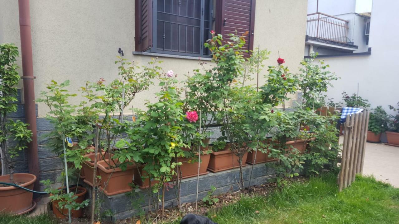 Monteceneri 9 B&B 罗镇 外观 照片