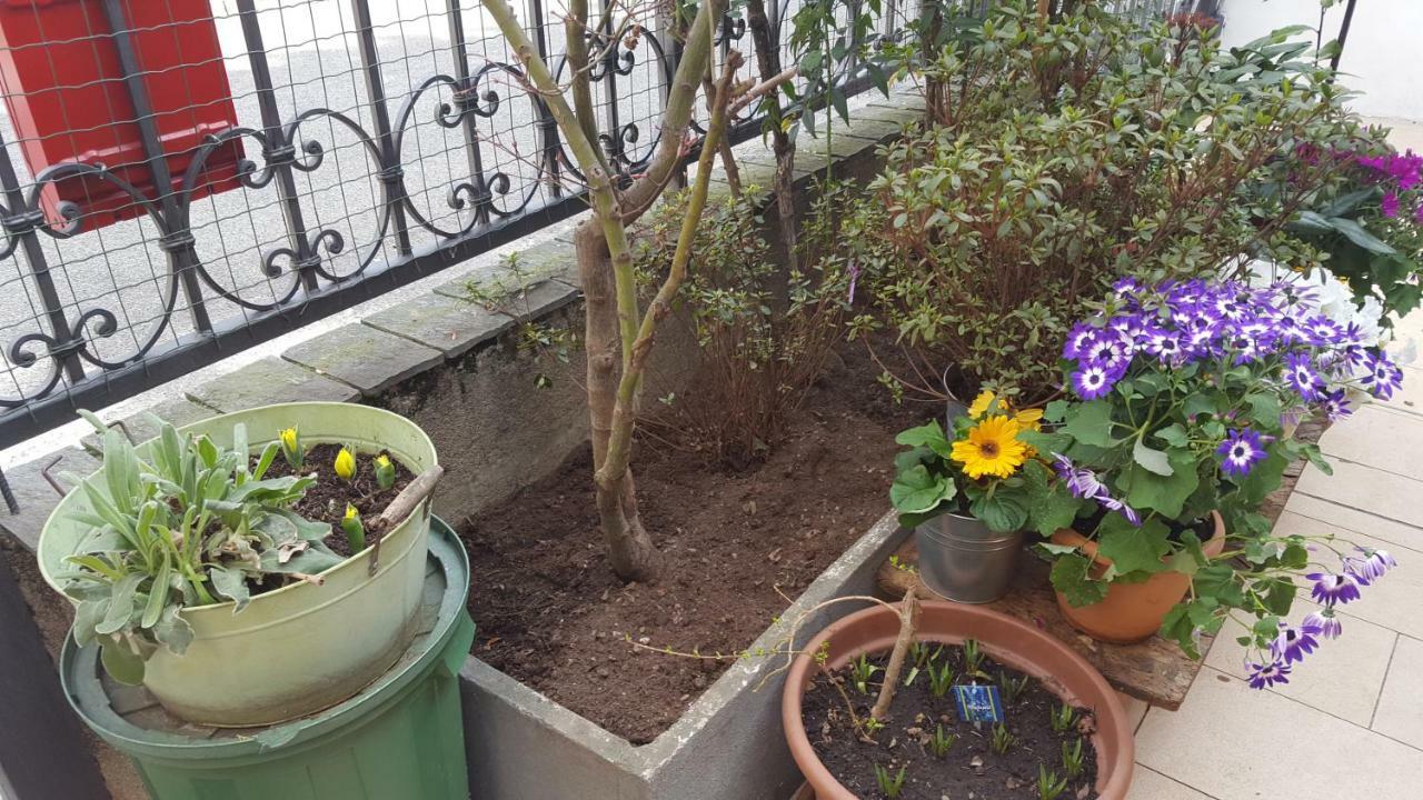 Monteceneri 9 B&B 罗镇 外观 照片